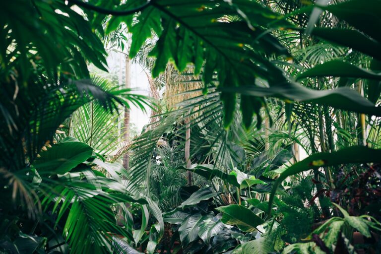 Verlevendig uw Woonruimte: De Magie van Binnenplanten